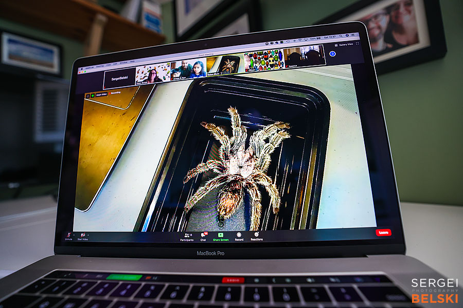 kids birthday event photographer sergei belski photo