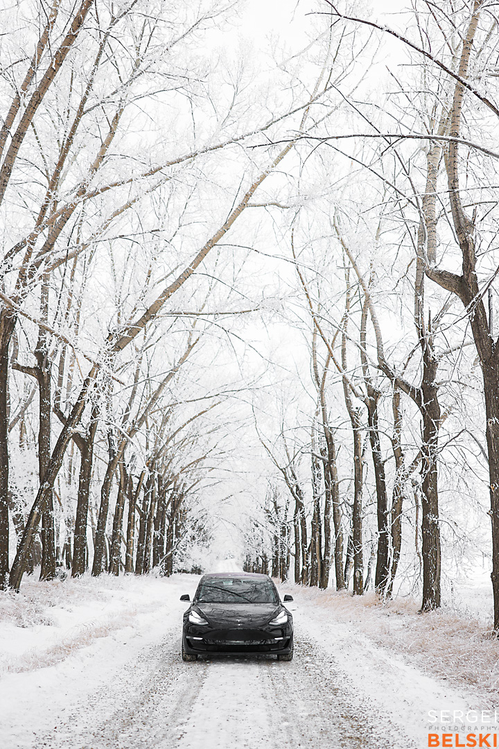 my tesla adventures calgary automotive photographer sergei belski photo