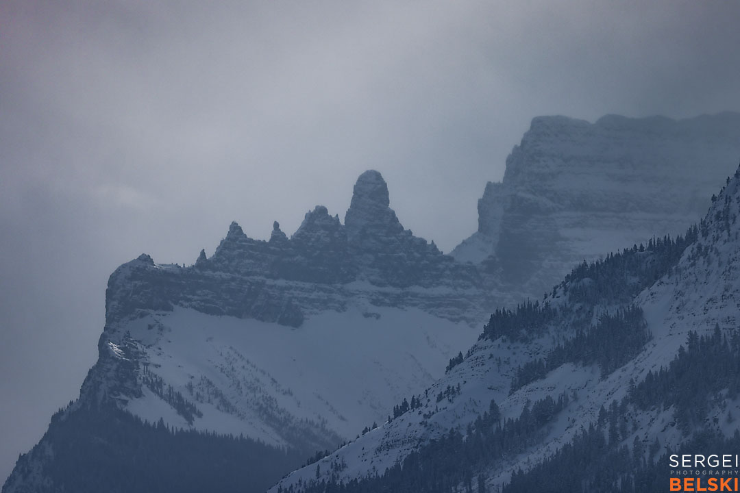 waterton wildlife photographer sergei belski photo