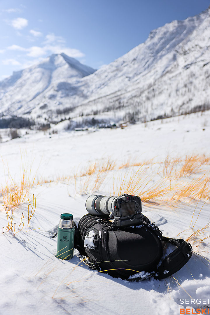 waterton wildlife photographer sergei belski photo