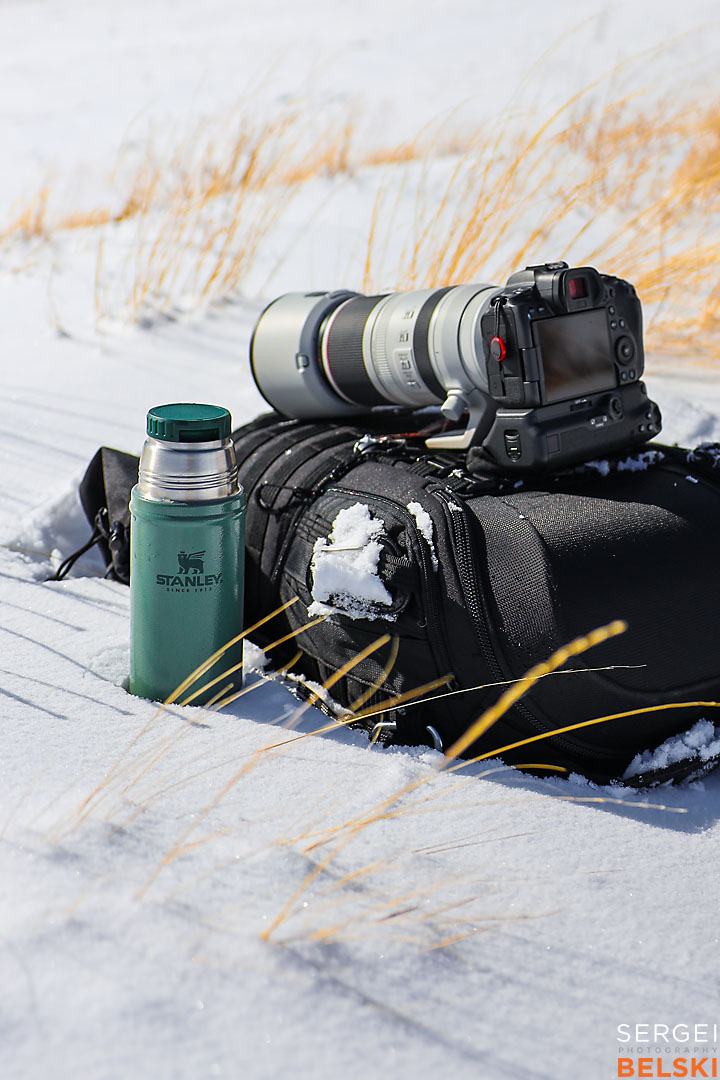 waterton wildlife photographer sergei belski photo