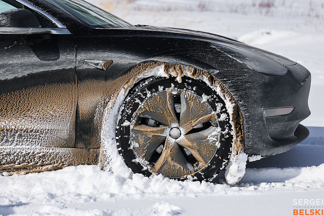 waterton wildlife photographer sergei belski photo