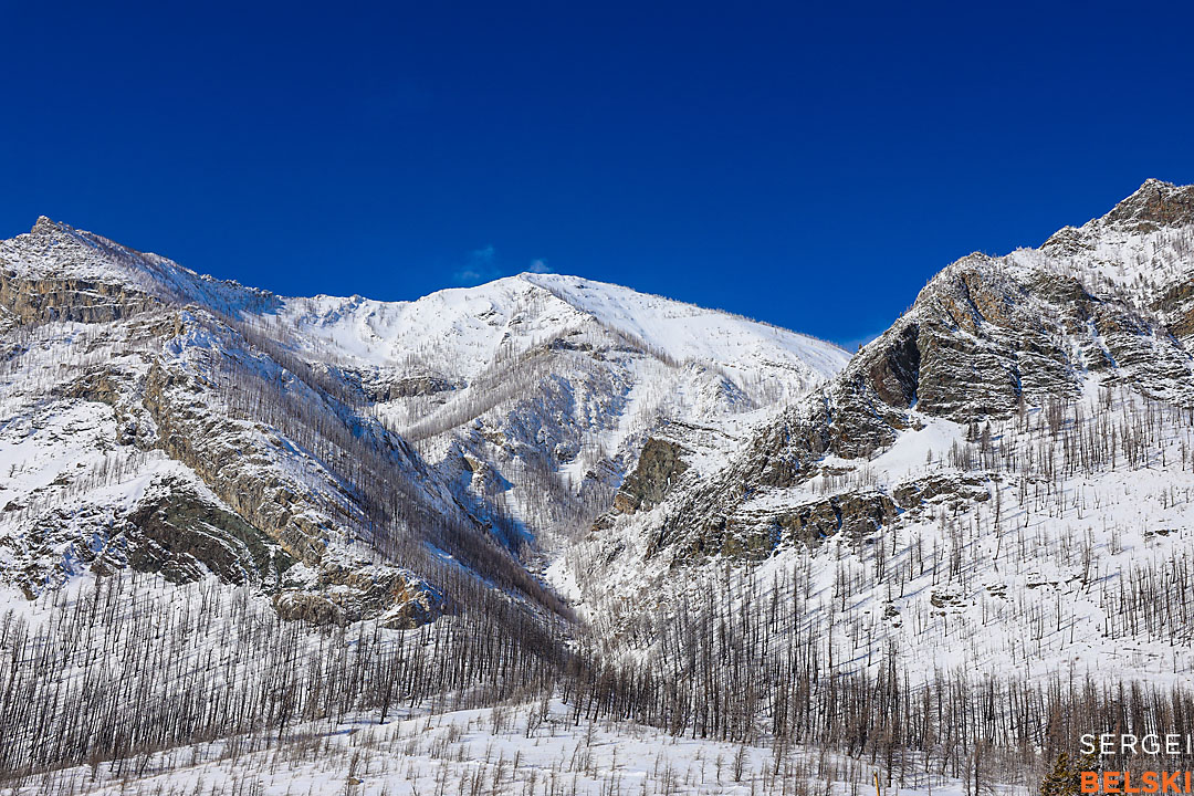 waterton wildlife photographer sergei belski photo