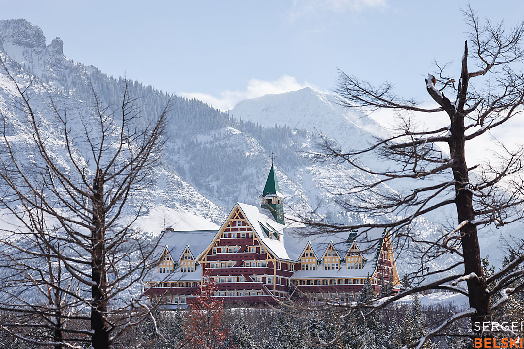 waterton wildlife photographer sergei belski photo