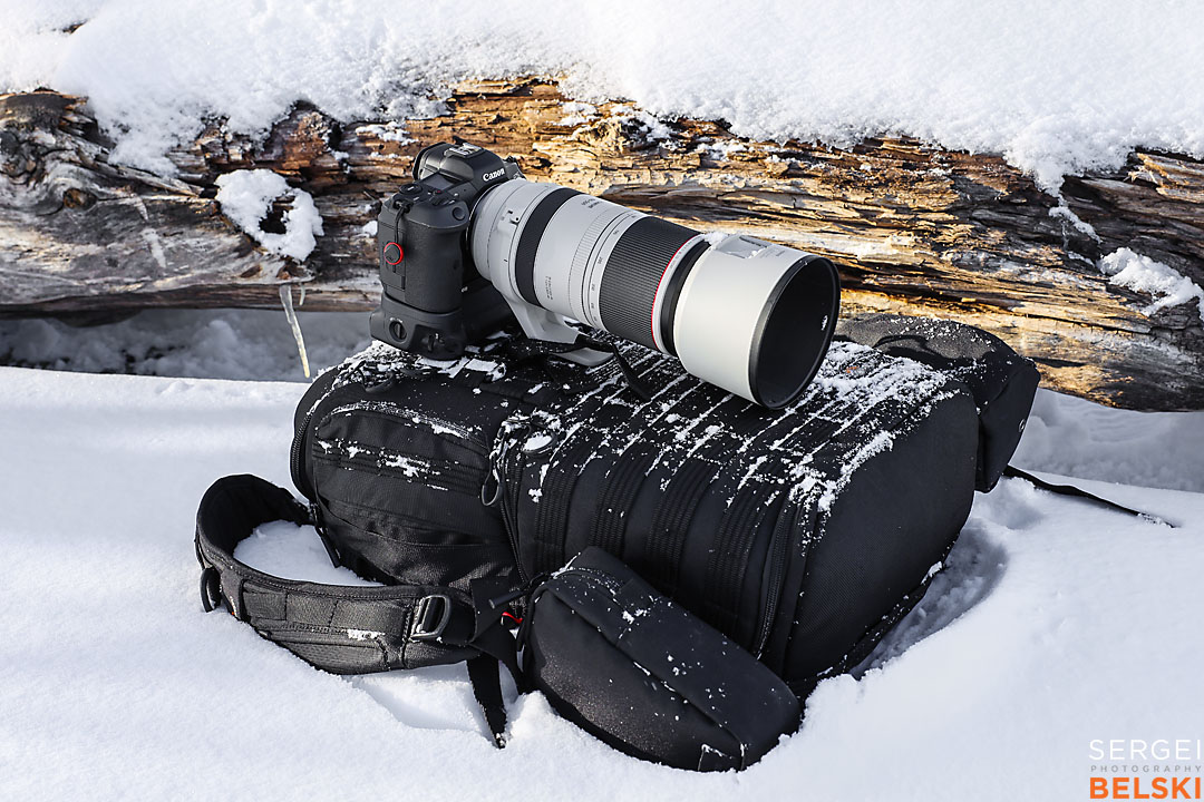 waterton wildlife photographer sergei belski photo