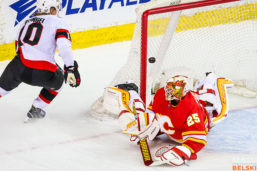 nhl hockey calgary sports photographer sergei belski photo