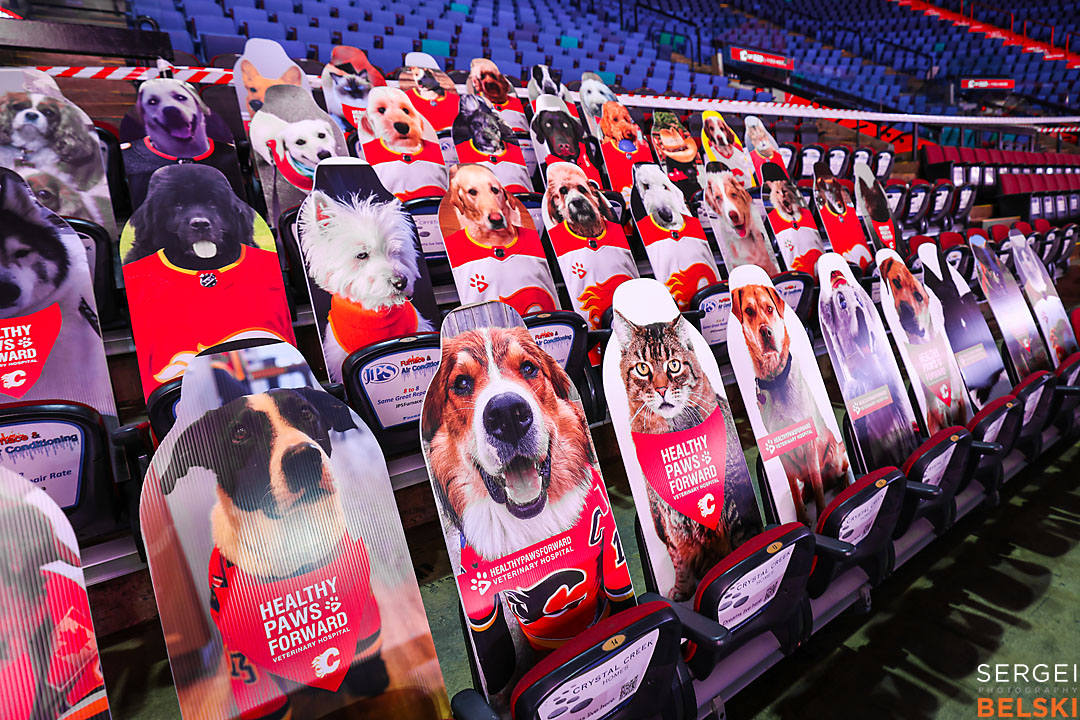 nhl hockey calgary sports photographer sergei belski photo