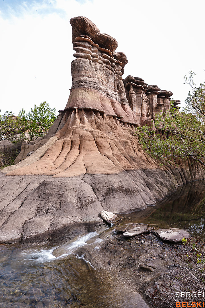 calgary zoo commercial photographer sergei belski photo