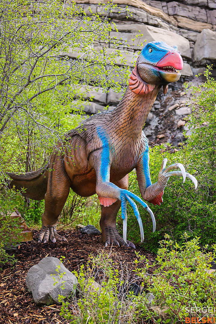 calgary zoo commercial photographer sergei belski photo