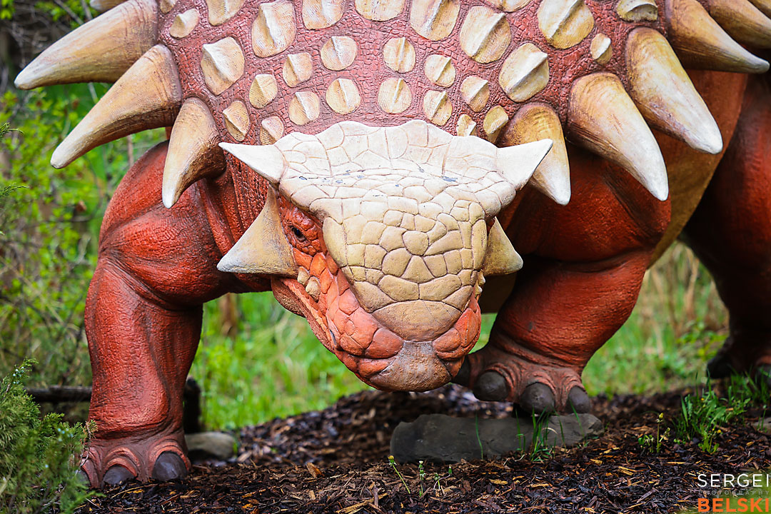 calgary zoo commercial photographer sergei belski photo