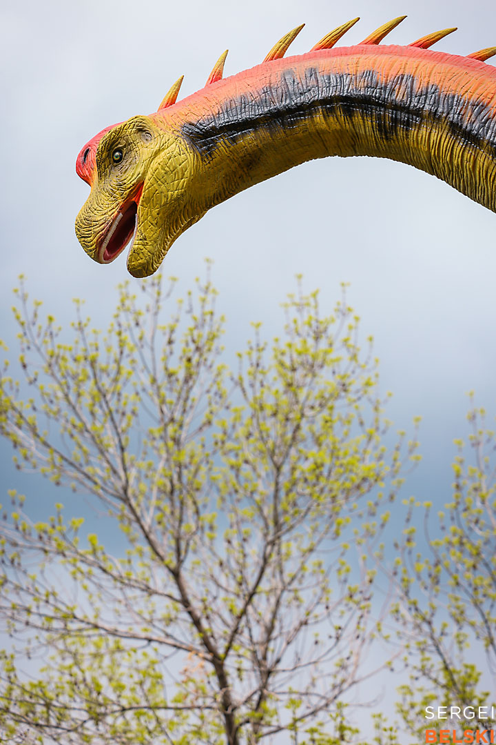 calgary zoo commercial photographer sergei belski photo
