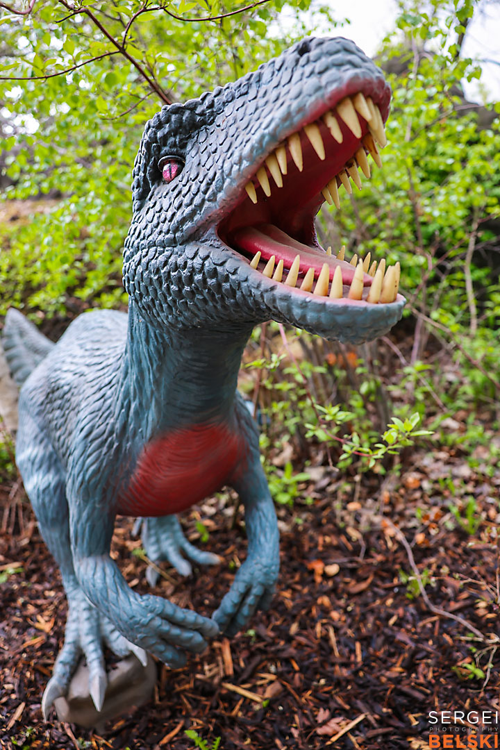calgary zoo commercial photographer sergei belski photo