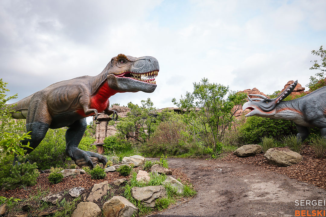 calgary zoo commercial photographer sergei belski photo