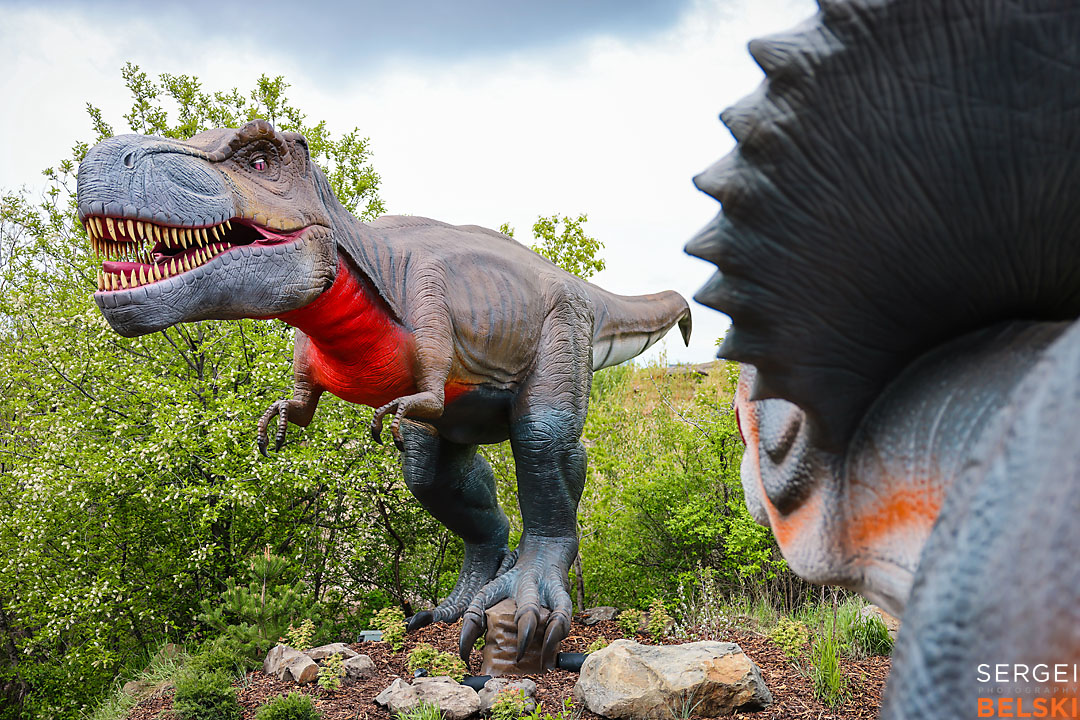calgary zoo commercial photographer sergei belski photo