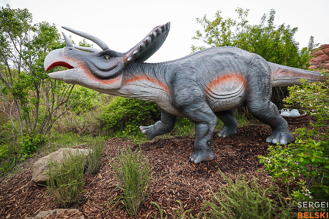 calgary zoo commercial photographer sergei belski photo