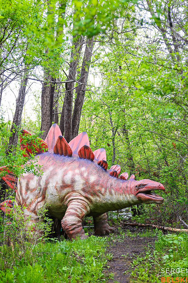 calgary zoo commercial photographer sergei belski photo