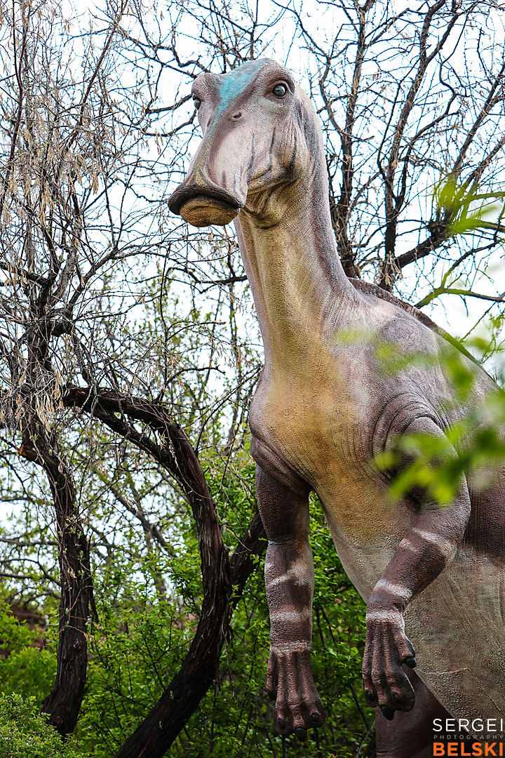 calgary zoo commercial photographer sergei belski photo