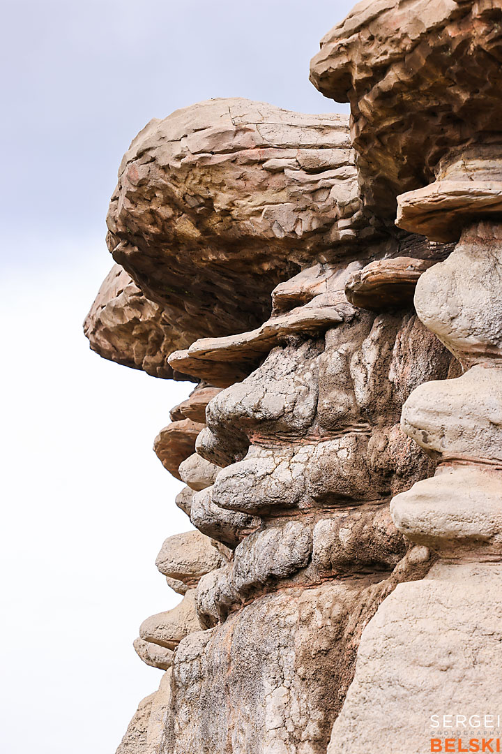 calgary zoo commercial photographer sergei belski photo
