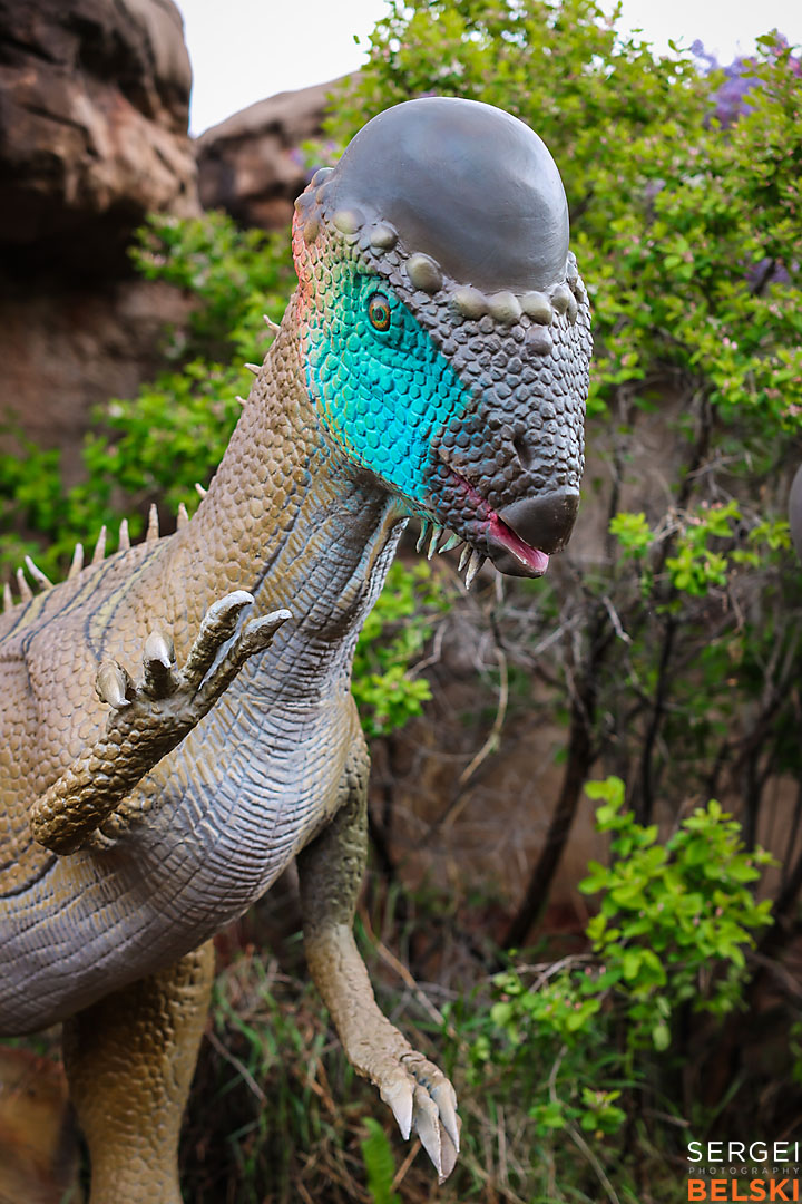 calgary zoo commercial photographer sergei belski photo