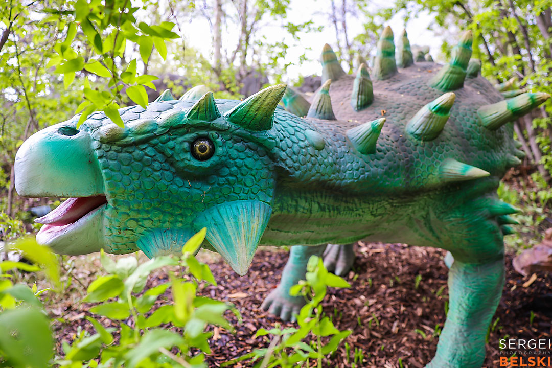 calgary zoo commercial photographer sergei belski photo