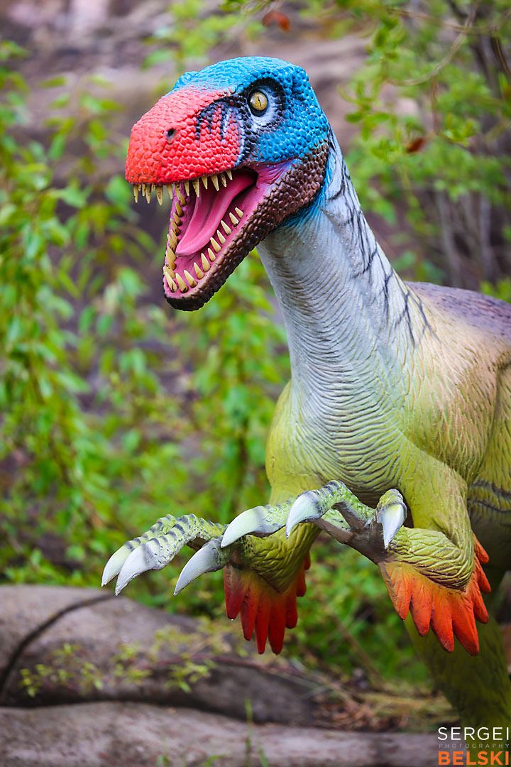 calgary zoo commercial photographer sergei belski photo