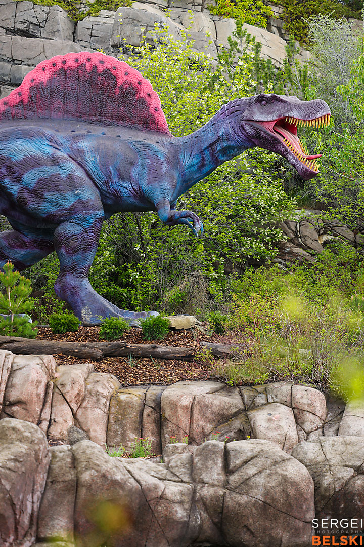 calgary zoo commercial photographer sergei belski photo