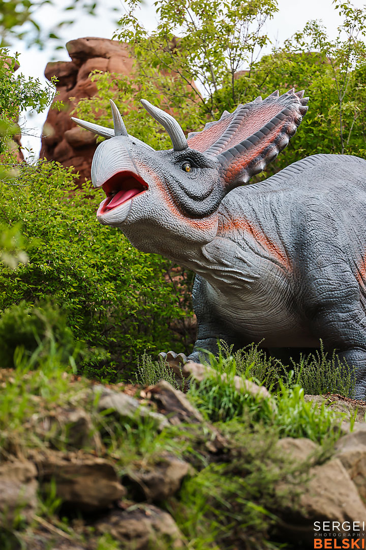 calgary zoo commercial photographer sergei belski photo