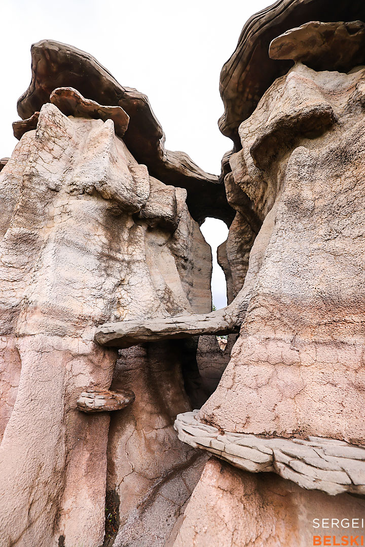 calgary zoo commercial photographer sergei belski photo