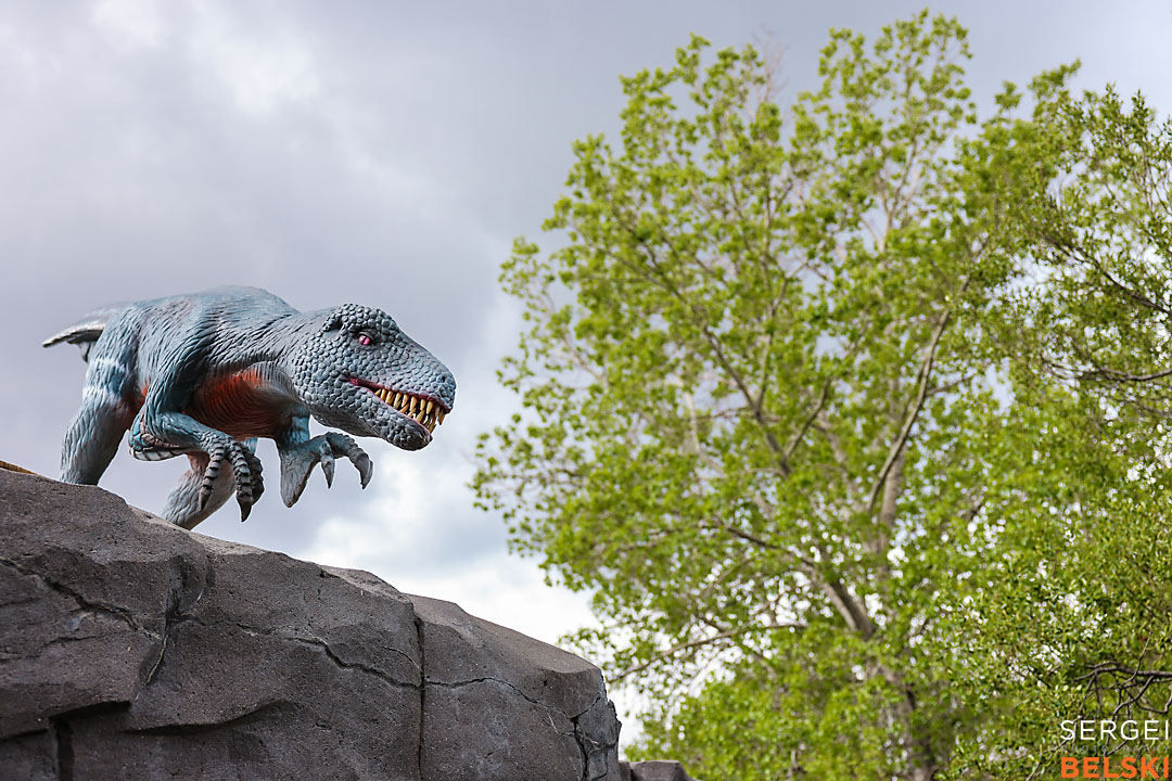 calgary zoo commercial photographer sergei belski photo