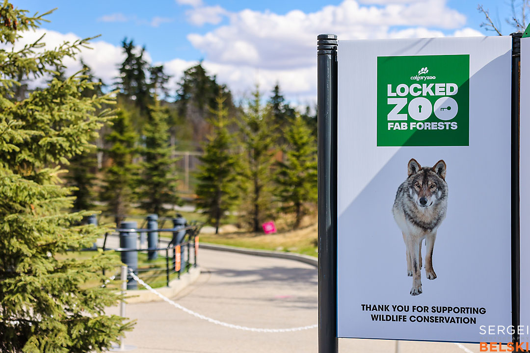 locked zoo calgary event photographer sergei belski photo