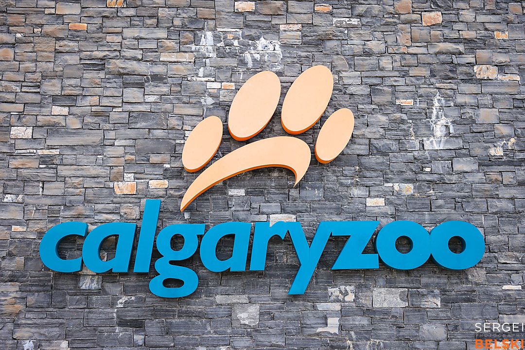 locked zoo calgary event photographer sergei belski photo