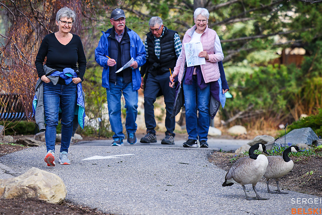 locked zoo calgary event photographer sergei belski photo