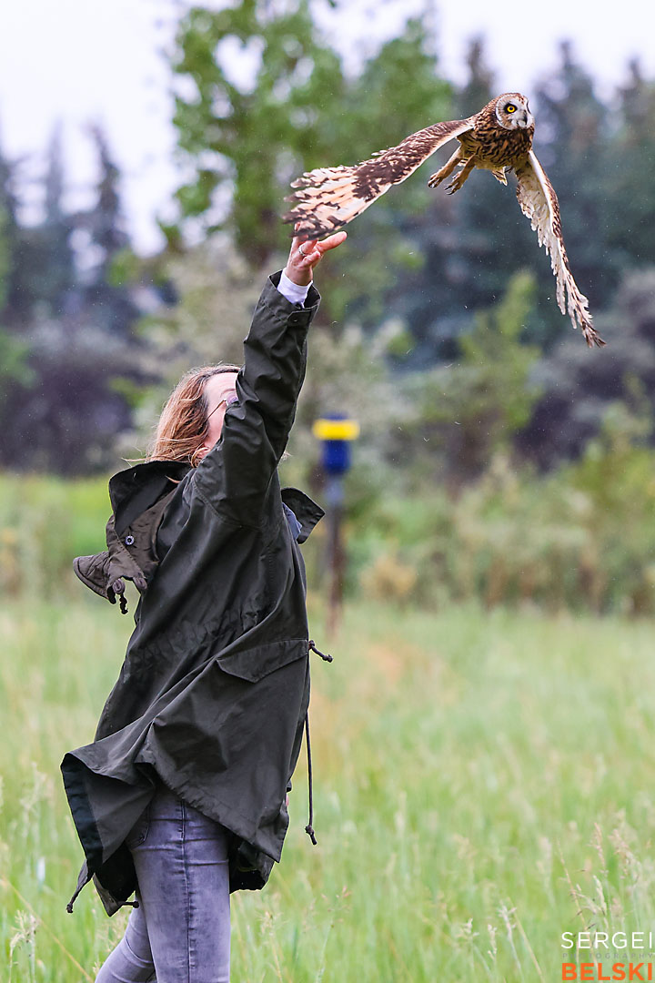 fortis alberta corporate event photographer sergei belski photo