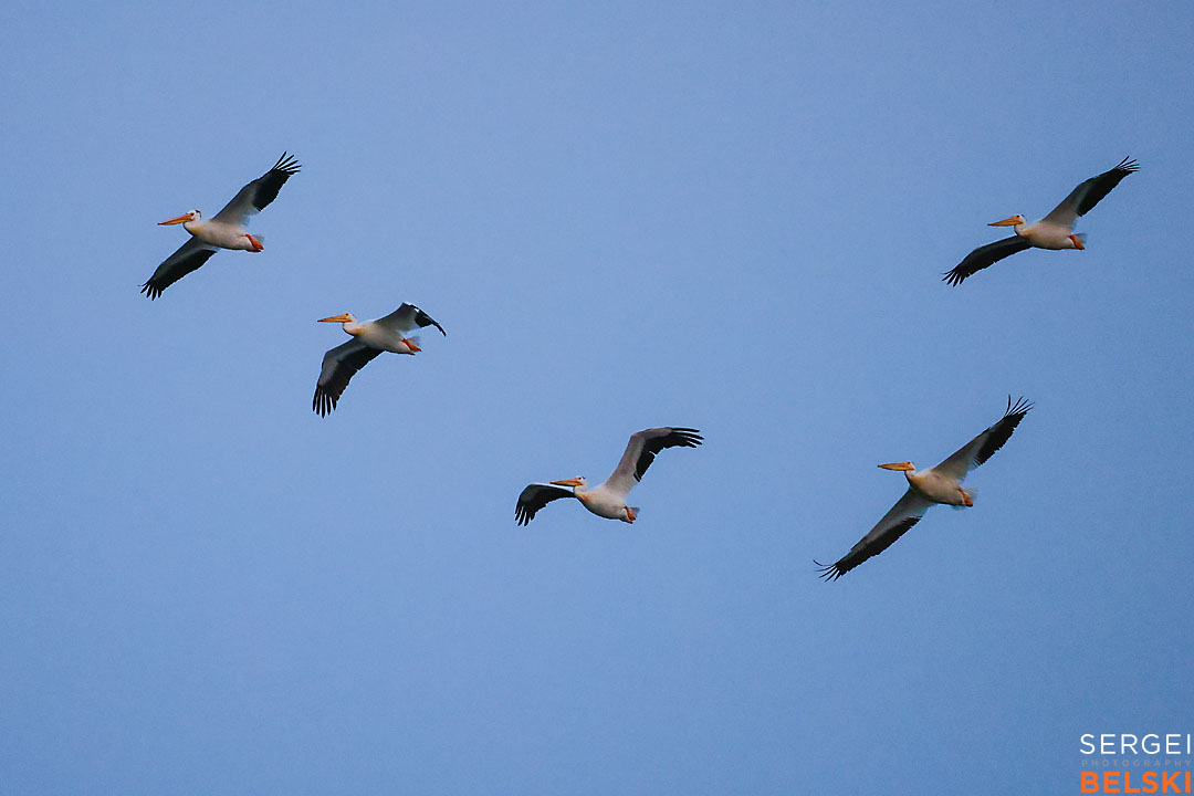 calgary travel photographer sergei belski photo