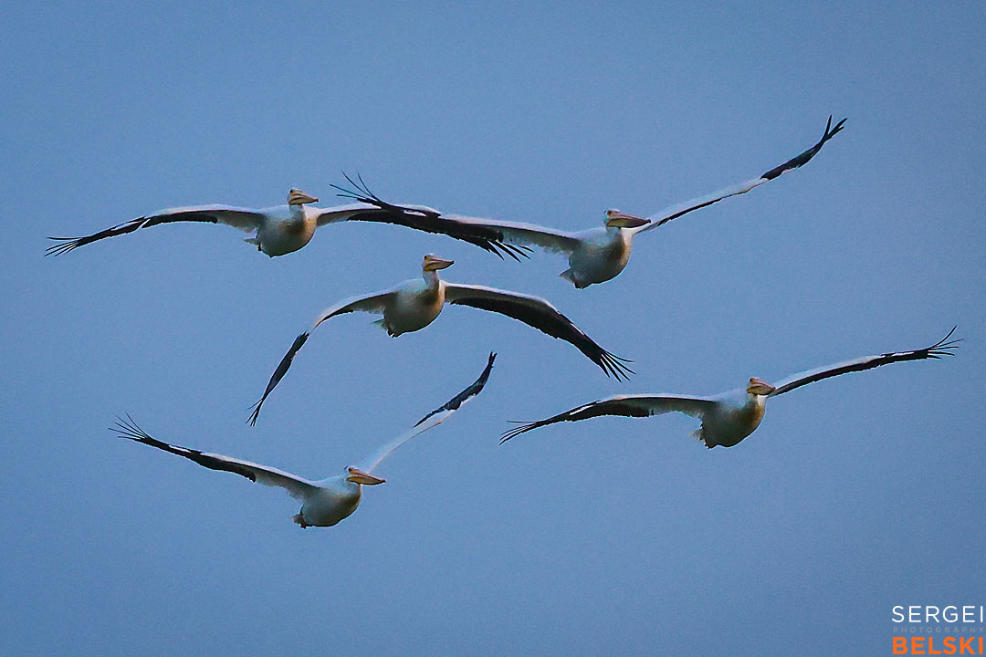 calgary travel photographer sergei belski photo
