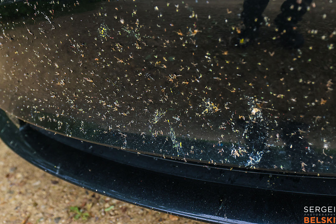 calgary travel photographer sergei belski photo