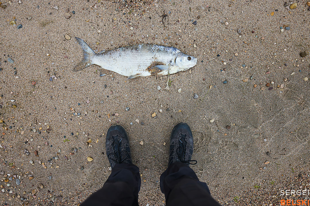 calgary travel photographer sergei belski photo