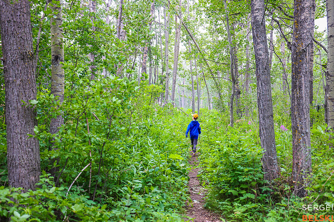 calgary travel photographer sergei belski photo