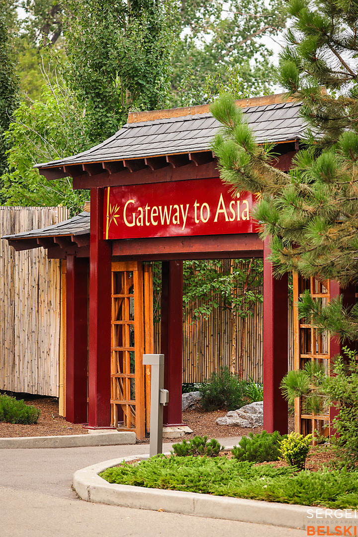 calgary zoo photographer sergei belski photo