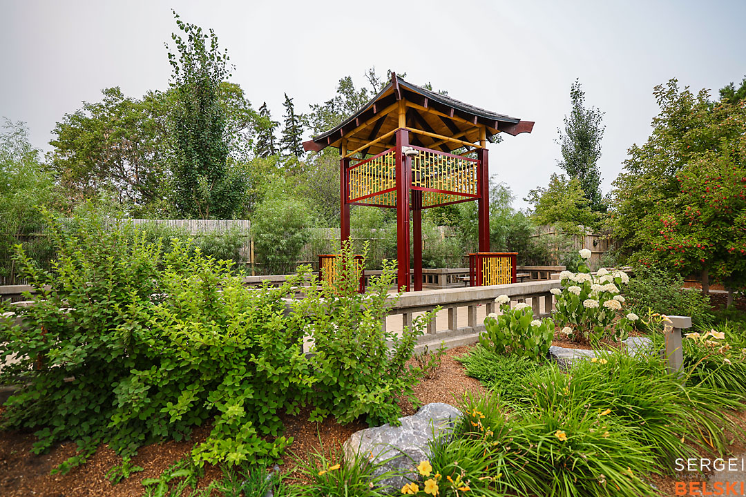 calgary zoo photographer sergei belski photo