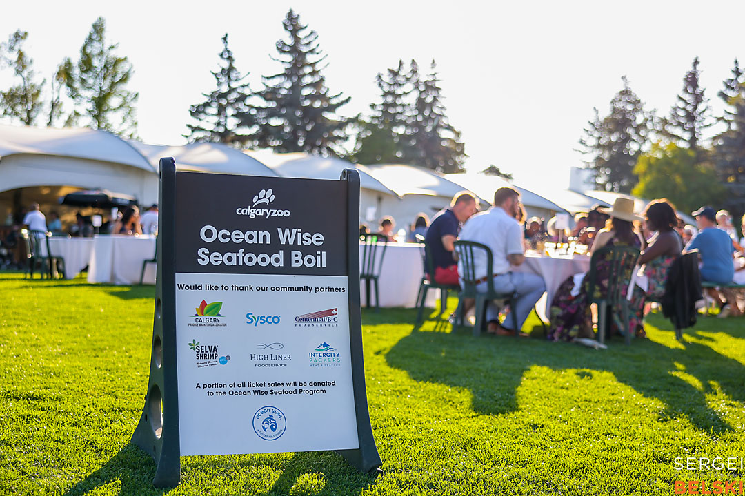 calgary zoo event photographer sergei belski photo