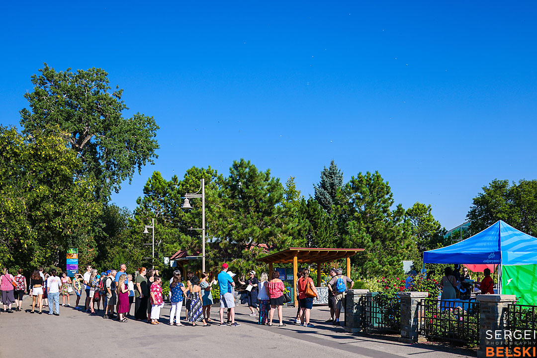 calgary zoo event photographer sergei belski photo