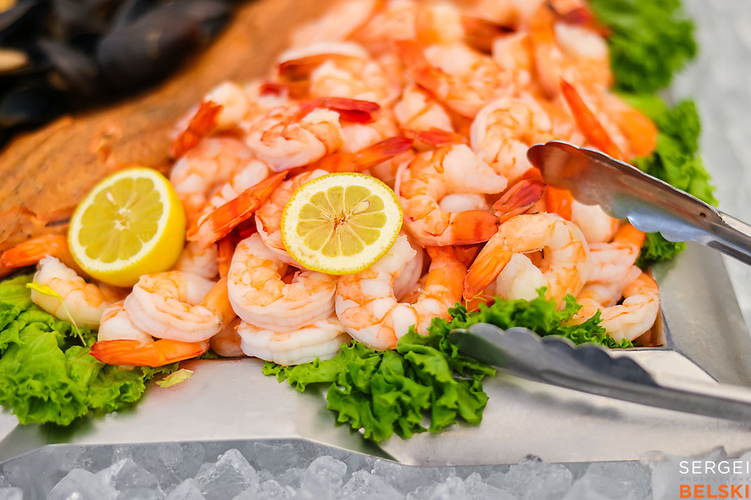 calgary zoo event photographer sergei belski photo