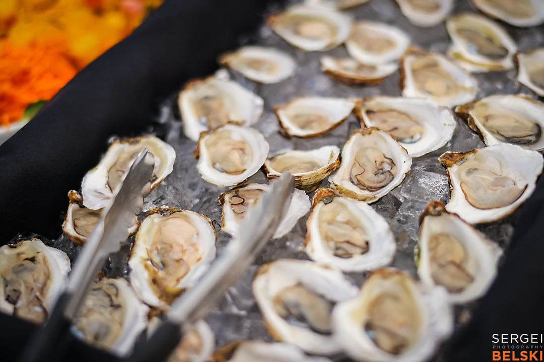calgary zoo event photographer sergei belski photo