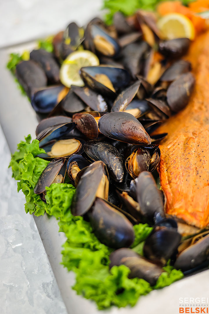 calgary zoo event photographer sergei belski photo