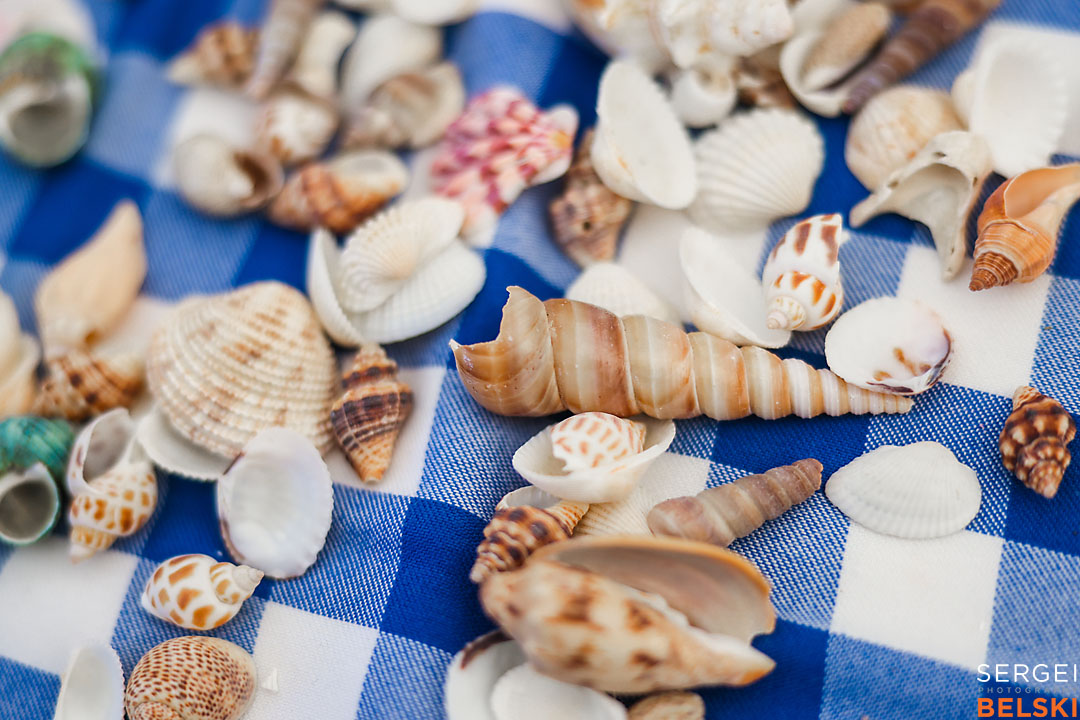 calgary zoo event photographer sergei belski photo