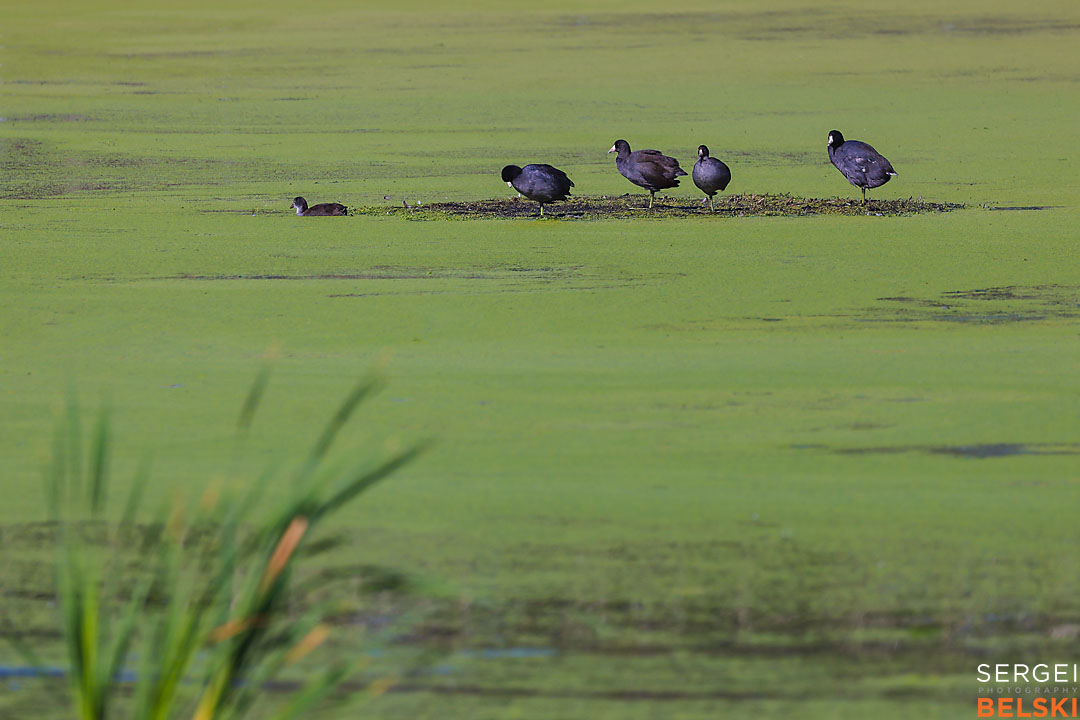 calgary travel photographer sergei belski photo