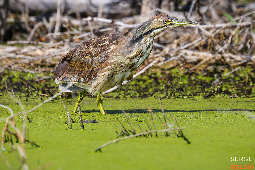 calgary travel photographer sergei belski photo