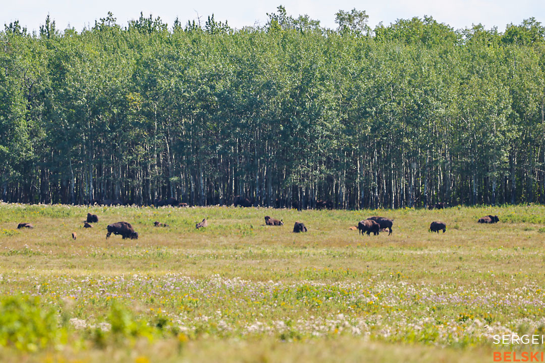 calgary travel photographer sergei belski photo