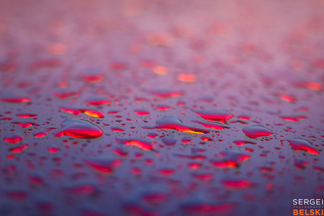 my Tesla adventures calgary event photographer sergei belski photo